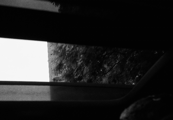 Intro GIF